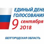 В регионе завершился Единый день голосования. Явка на 19:30 составила 43,5%