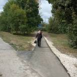 Рязанские партийцы помогли с обустройством пешеходной дорожки к медучреждениям