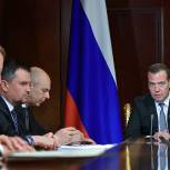 Медведев: Стратегия развития лесного комплекса РФ до 2030 года призвана сохранить леса страны