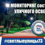 Партпроект «Народный контроль» запускает мониторинг состояния уличного освещения в Ульяновской области