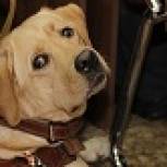 В Международный день слабовидящих по инициативе МГЕР в Екатеринбурге состоялся фестиваль «Белая трость» (ФОТО)