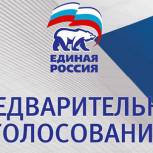 «Единая Россия» проводит в Шатровском районе предварительное голосование