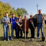 В станице Георгиевской заложена «Аллея Победы»