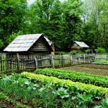 Три садовых товарищества Набережных Челнов получили господдержку