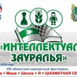В Курганской области состоялся VIII областной фестиваль шахмат «Папа + Мама + Школа + Я = Шахматная семья»