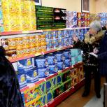 В Брянске народные контролеры выявили ряд незначительных нарушений при продаже пиротехники
