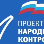 «Народный контроль» «Единой России» проверит наличие лицензий у водителей такси 