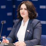«Народный контроль» ЕР проверил более 400 точек продаж пиротехнических изделий 