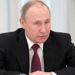 В России вводятся ограничения на сплошные вырубки лесов
