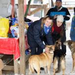 Партийцы Некрасовки приготовили подарки для бездомных животных