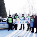 Автоинспекторы совместно с партийными активистами провели акцию «Вежливый водитель»
