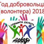В Лисках высоко оценивают итоги Года волонтёра