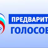 В Ленинградской области стартует процедура предварительного голосования