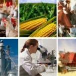 Аграрии Чувашии получат почти миллиард рублей субсидий на развитие сельского хозяйства