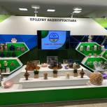 В Совете Федерации состоялась презентация социально-экономического потенциала Башкортостана