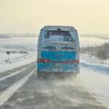 Партпроект добился отстранения от должности водителя, оставившего в Сызрани детей одних на дороге 