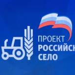 В «Единой России» требуют сохранить укорочённую рабочую неделю для женщин в сельской местности
