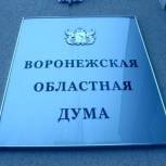 Воронежская область присоединилась к акции «Зажги синим»