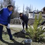 В Уфе появилась Аллея влюбленных