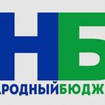 Партийцы приняли активное участие в обсуждении проекта «Народный бюджет» в райцентре Удоры