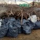 Жители Белоозерского округа вносят свой вклад в благоустройство города