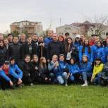 В Геленджике высадили 200 кустов победной сирени 