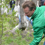 Представители «Единой России» в рамках всероссийской акции по озеленению городов высадят 3 млн деревьев 