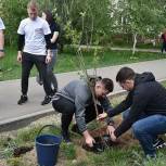 Жуковские партийцы приняли участие в акции «Лес Победы»