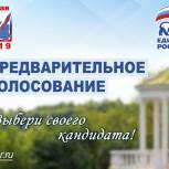 В Орловской области пройдет Предварительное Голосование