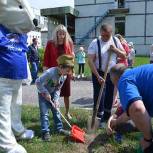 Шатурские партийцы посадили сосны на территории детского сада 