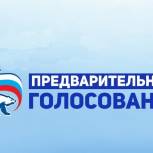 К предварительному голосованию готовы