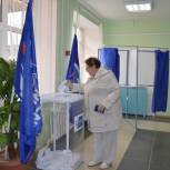 В Михайловском районе проходит предварительное голосование