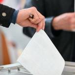 Предварительное голосования завершилось в областном центре
