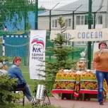 Отдохнули с пользой: в Вадском районе прошел День соседей