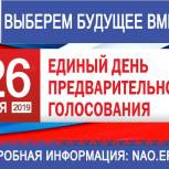 Подведены итоги предварительного голосования по выборам в Совет Заполярного района