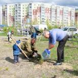 Единороссы Нягани озеленили город