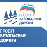 Представители «Единой России» проверили состояние дорожных знаков и разметки возле калужских школ