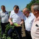 По партпроекту «Российское село» в Успенском районе провели смотр культуры земледелия и проверили готовность техники к уборке урожая