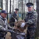 В рамках реализации проекта «Историческая память» Пуровские активисты провели уборку мест захоронений