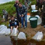 Удорские партийцы выпустили в реку Мезень мальков хариуса европейского