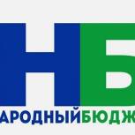 В Удорском районе началась реализация народных проектов