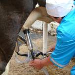 Госдума приняла в I чтении законопроект «Единой России» о сохранении сокращенного рабочего дня для женщин на селе