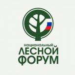 Валентина Жиделева: «Необходимо законодательно закрепить статус научно-образовательных организаций»