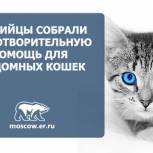 Партийцы передали благотворительную помощь для «кошек Зайцевой»