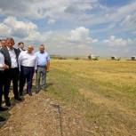 Медведев: Агропромышленный комплекс страны растет быстрыми темпами