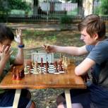Шахматный турнир прошел в Тихорецком районе