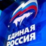 В «Единой России» предложили разрешить гражданам покупать субсидируемые авиабилеты в интернете