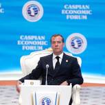 Медведев: Проекты на Каспийском море должны проходить экологическую экспертизу