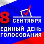 В Калмыкии к 18:00 свой выбор  сделали 47,9% избирателей