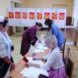 На муниципальных выборах проголосовали более 47 тысяч воронежцев